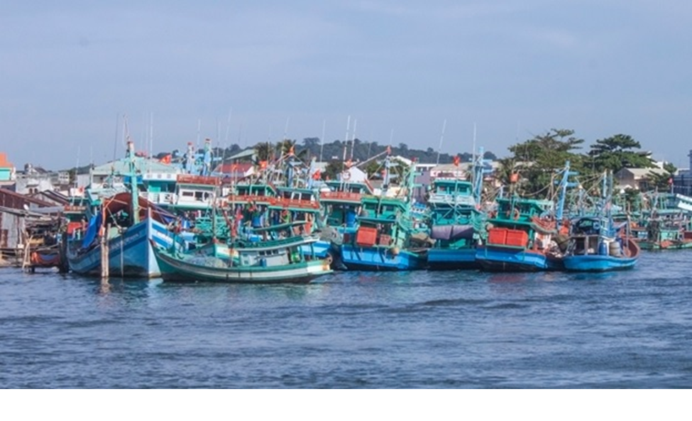  Campaign Article: Organize activities to respond to World Oceans Day (8th June), Viet Nam Seas and Islands Week 2024