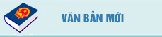 Văn bản mới
